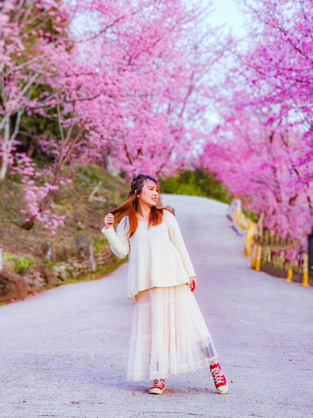 2025司馬庫斯櫻花季訂房超難搶!司馬庫斯住宿、櫻花季攻略看這篇!