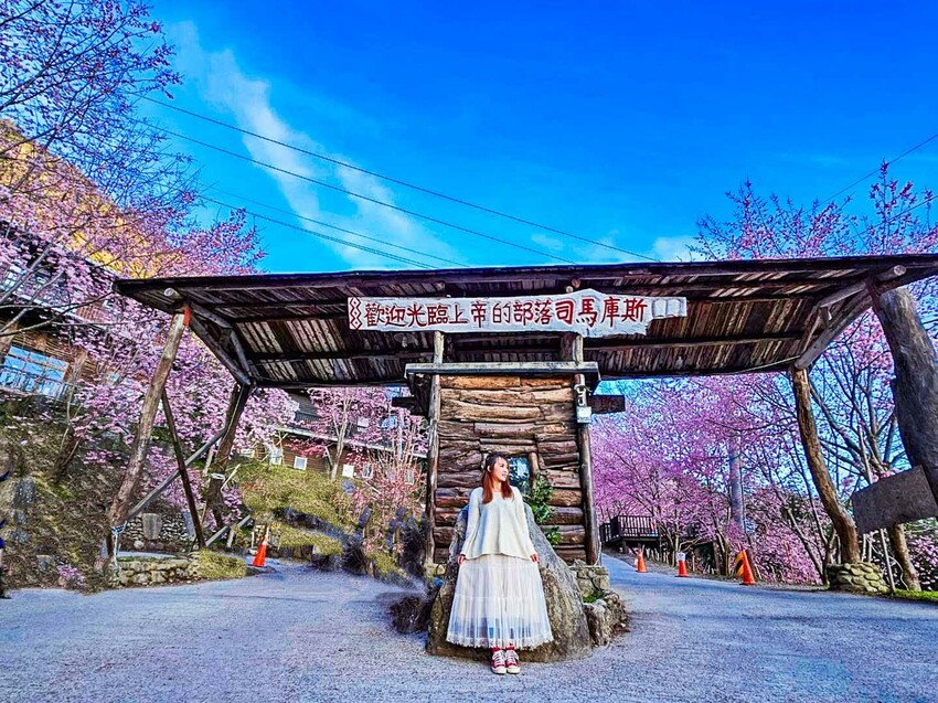 2025司馬庫斯櫻花季訂房超難搶!司馬庫斯住宿、櫻花季攻略看這篇!