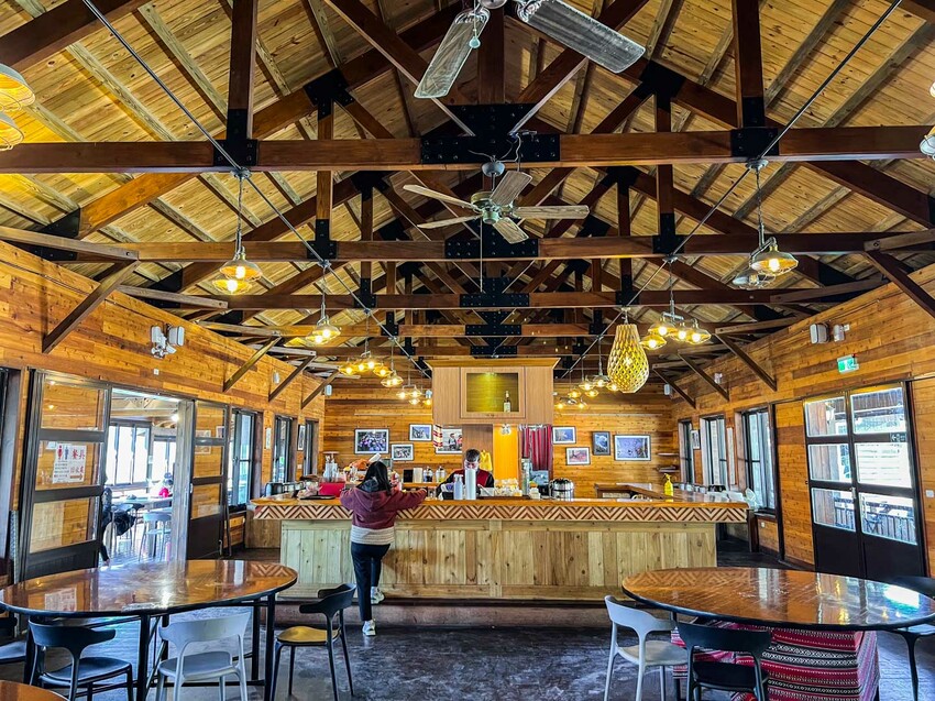 2025司馬庫斯櫻花季訂房超難搶!司馬庫斯住宿、櫻花季攻略看這篇!