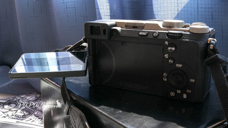 Sony A7C2 :全幅機+輕巧機身+周邊這樣買，Sony無反相機實測心得