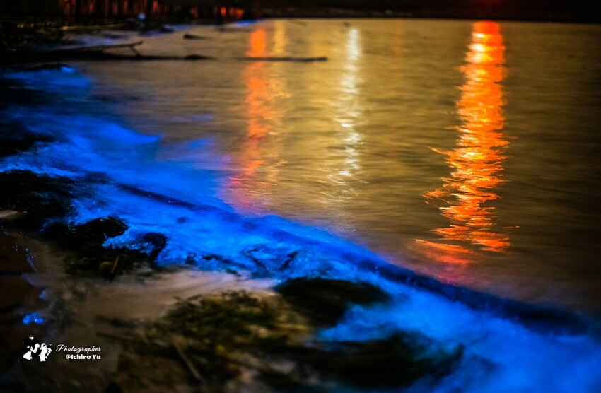 連江縣北竿鄉【馬祖景點】北竿馬鼻灣‧南竿介壽澳口賞藍眼淚│藍眼淚季節‧如何拍攝‧天候條件風向潮汐月亮│芹壁聚落‧北海坑