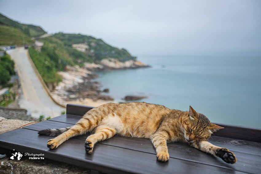 連江縣北竿鄉【馬祖景點】北竿馬鼻灣‧南竿介壽澳口賞藍眼淚│藍眼淚季節‧如何拍攝‧天候條件風向潮汐月亮│芹壁聚落‧北海坑
