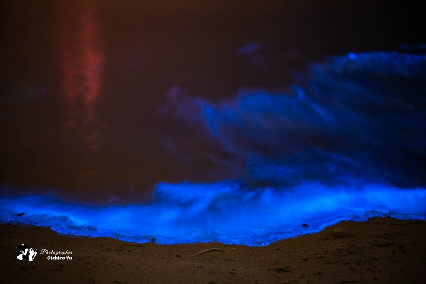連江縣北竿鄉【馬祖景點】北竿馬鼻灣‧南竿介壽澳口賞藍眼淚│藍眼淚季節‧如何拍攝‧天候條件風向潮汐月亮│芹壁聚落‧北海坑