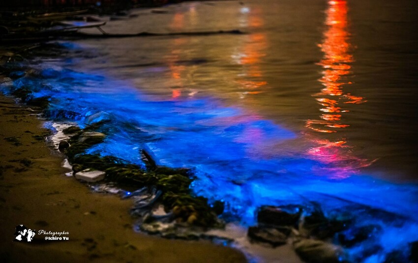 連江縣北竿鄉【馬祖景點】北竿馬鼻灣‧南竿介壽澳口賞藍眼淚│藍眼淚季節‧如何拍攝‧天候條件風向潮汐月亮│芹壁聚落‧北海坑