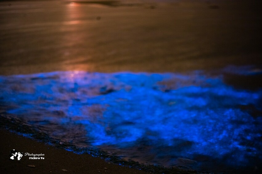 連江縣北竿鄉【馬祖景點】北竿馬鼻灣‧南竿介壽澳口賞藍眼淚│藍眼淚季節‧如何拍攝‧天候條件風向潮汐月亮│芹壁聚落‧北海坑