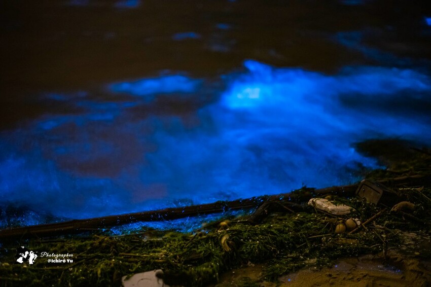 連江縣北竿鄉【馬祖景點】北竿馬鼻灣‧南竿介壽澳口賞藍眼淚│藍眼淚季節‧如何拍攝‧天候條件風向潮汐月亮│芹壁聚落‧北海坑