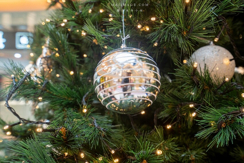 桃園市中壢區【桃園中壢】2024大江購物中心必買,Z世代購物首選!好拍、好逛、好好吃!聖誕節到大江一遊未盡!全年度免