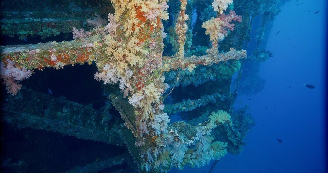 The Movie posters and stills of Taiwan record movie "2025年紀錄片電影《沈睡的水下巨人》(Shipwrecks Taiwan)" will be launching from Apr 25, 2025 onwards in Taiwan.