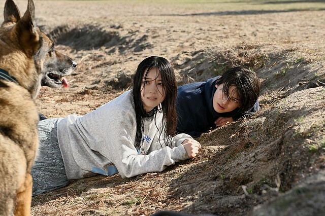 The Movie posters and stills of Japanese Movie 日本電影《少年與狗》(The Boy and the Dog) will be launching from Apr 25, 2025 onwards in Taiwan.