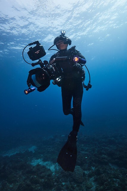 The Movie posters and stills of Taiwan record movie "2025年紀錄片電影《沈睡的水下巨人》(Shipwrecks Taiwan)" will be launching from Apr 25, 2025 onwards in Taiwan.