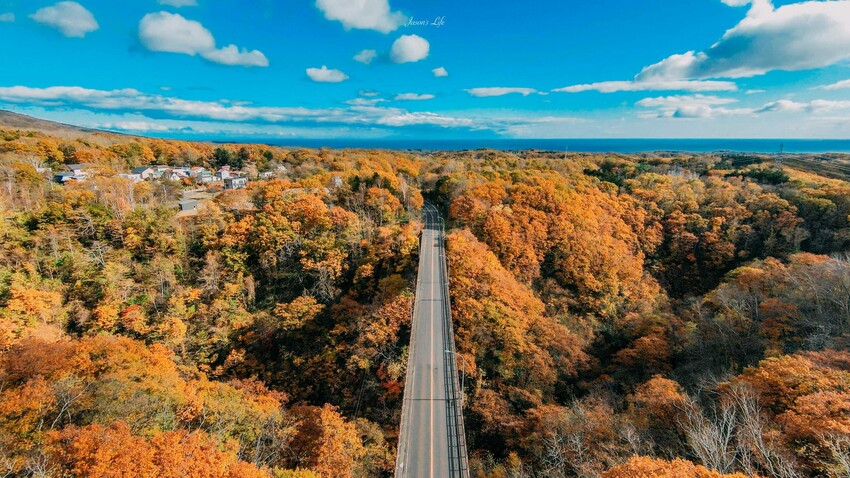 日本【北海道│行程規劃】2024年(秋)北海道九天八夜自駕行程、費用、景點、美食全公開