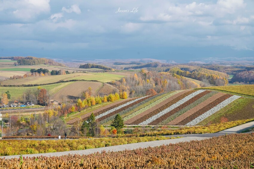 日本【北海道│行程規劃】2024年(秋)北海道九天八夜自駕行程、費用、景點、美食全公開