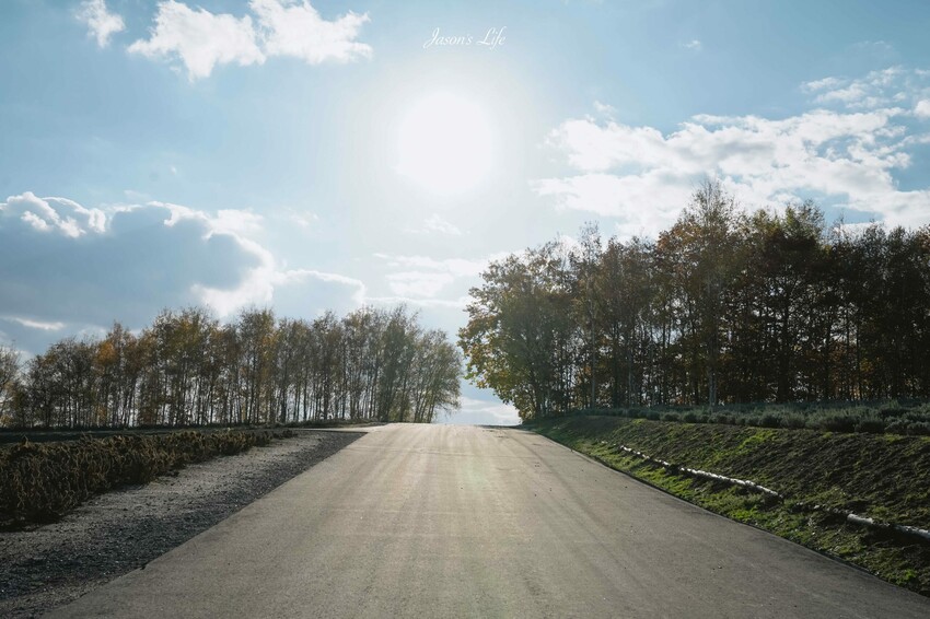 日本【北海道│行程規劃】2024年(秋)北海道九天八夜自駕行程、費用、景點、美食全公開