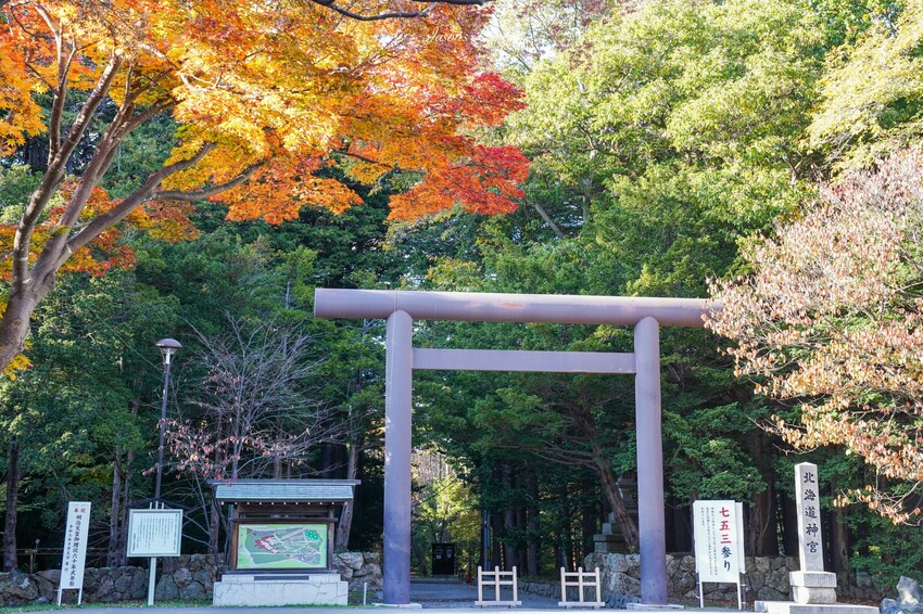 日本【北海道│行程規劃】2024年(秋)北海道九天八夜自駕行程、費用、景點、美食全公開