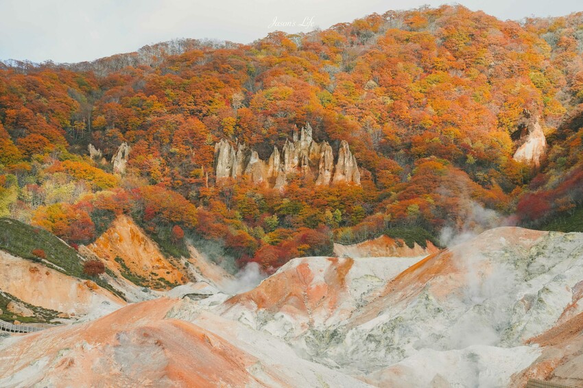 日本【北海道│行程規劃】2024年(秋)北海道九天八夜自駕行程、費用、景點、美食全公開