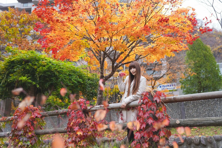 日本【北海道│行程規劃】2024年(秋)北海道九天八夜自駕行程、費用、景點、美食全公開