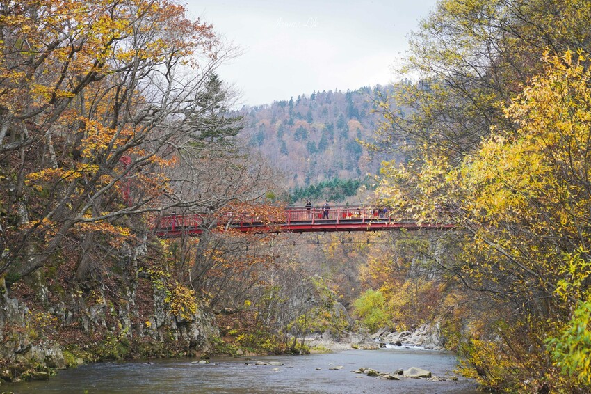 日本【北海道│行程規劃】2024年(秋)北海道九天八夜自駕行程、費用、景點、美食全公開