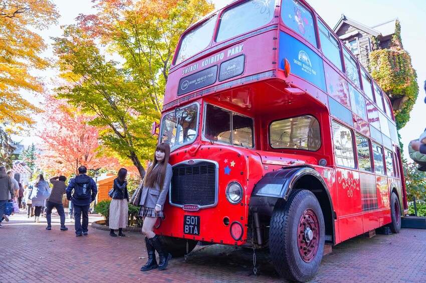 日本【北海道│行程規劃】2024年(秋)北海道九天八夜自駕行程、費用、景點、美食全公開