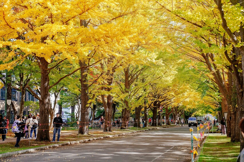 日本【北海道│行程規劃】2024年(秋)北海道九天八夜自駕行程、費用、景點、美食全公開