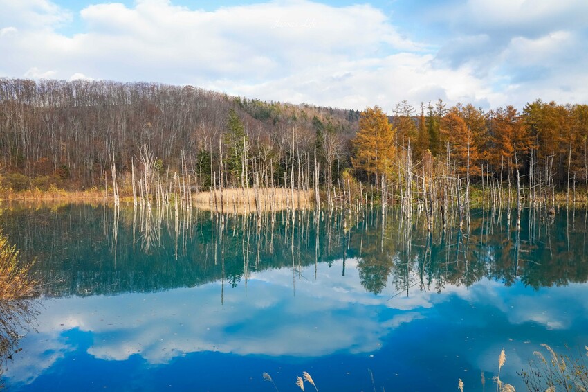 日本【北海道│行程規劃】2024年(秋)北海道九天八夜自駕行程、費用、景點、美食全公開