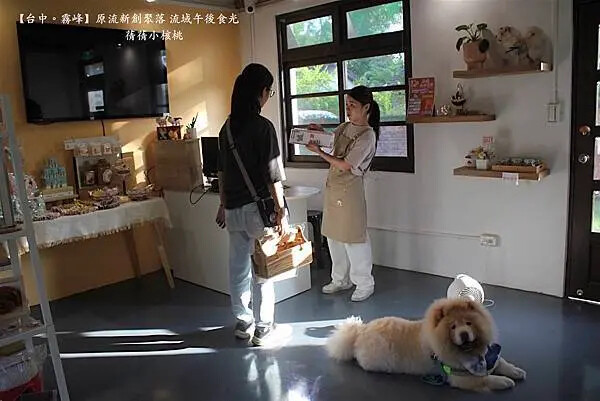 台中市霧峰區【台中霧峰新景點推薦】光復新村⎪原流新創聚落Llyung Startup Cluster一日套票-流域午後食光⎪透過一日套票