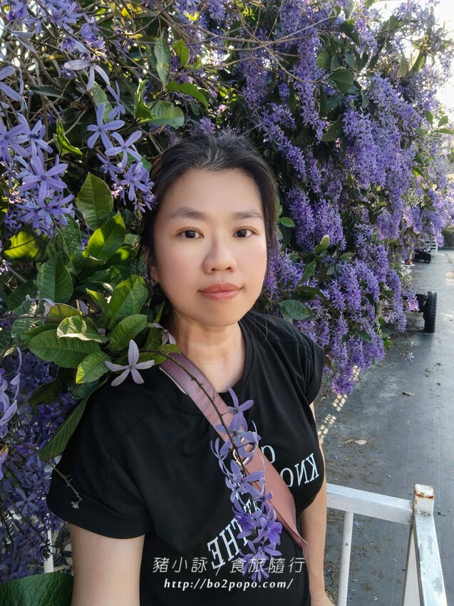 雲林縣四湖鄉雲林。四湖》長春園藝孤挺百合錫葉藤花園。數大就是美