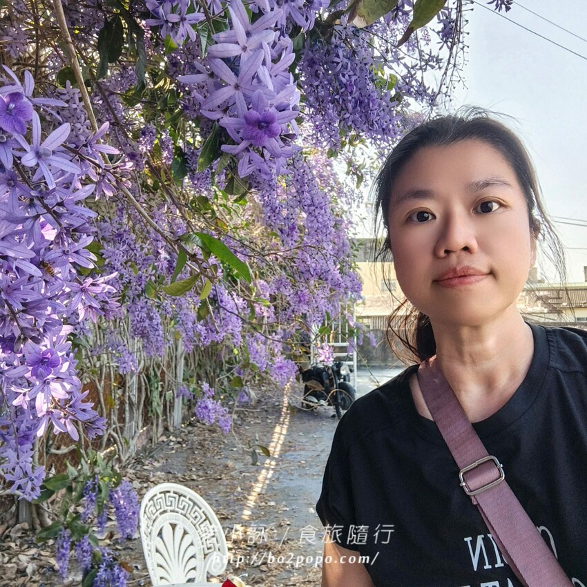 雲林縣四湖鄉雲林。四湖》長春園藝孤挺百合錫葉藤花園。數大就是美