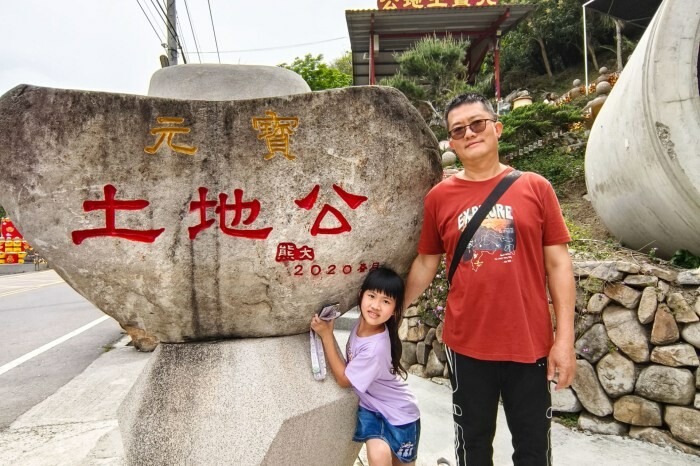 雲林縣四湖鄉雲林。四湖》長春園藝孤挺百合錫葉藤花園。數大就是美