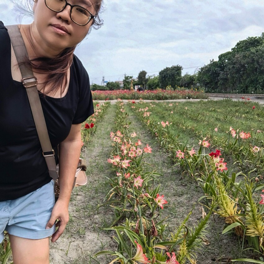 雲林縣四湖鄉雲林。四湖》長春園藝孤挺百合錫葉藤花園。數大就是美