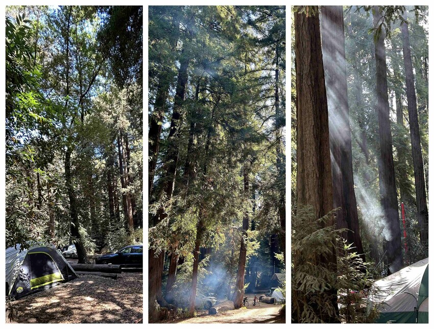 美國露營推薦：加州大蘇爾秘境探險，紅杉森林露營車、帳篷全攻略！