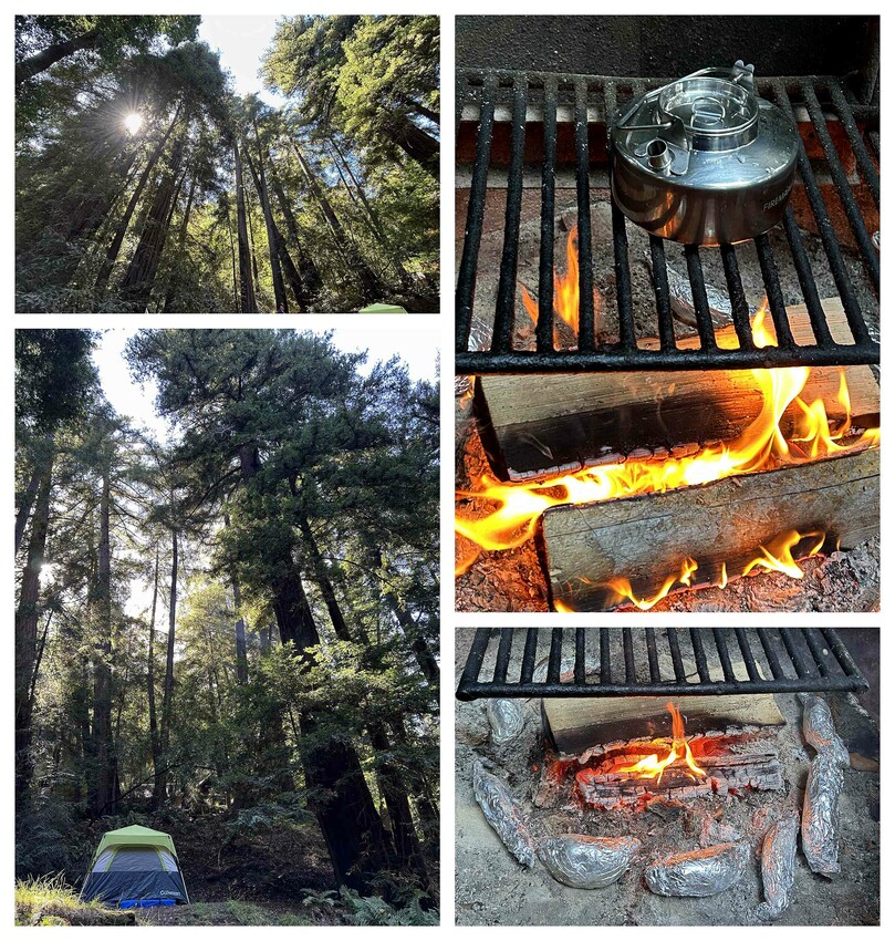 美國露營推薦：加州大蘇爾秘境探險，紅杉森林露營車、帳篷全攻略！