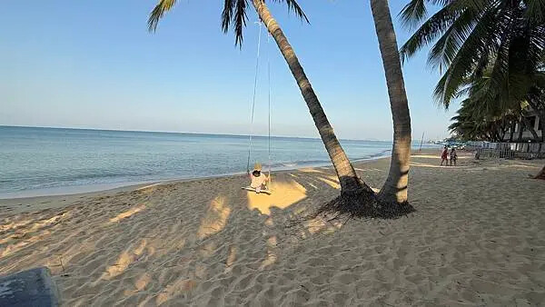 IMG_5766.jpg IMG_5766.jpg