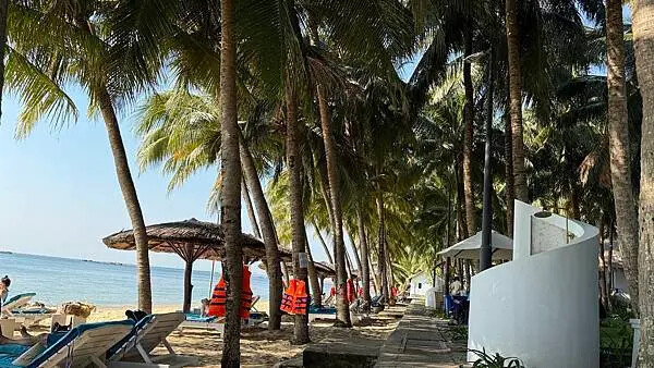 IMG_6493 (1).jpg IMG_6493 (1).jpg