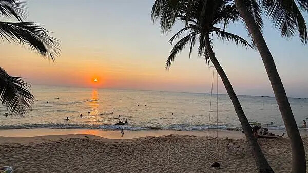 IMG_6241.jpg IMG_6241.jpg