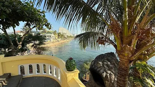 IMG_6570 (2).jpg IMG_6570 (2).jpg