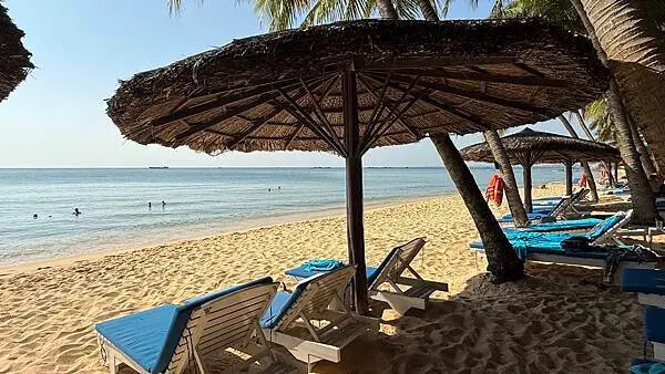 IMG_6499 (2).jpg IMG_6499 (2).jpg