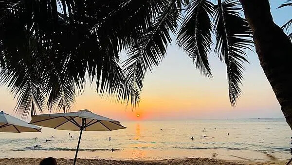 IMG_6247.jpg IMG_6247.jpg