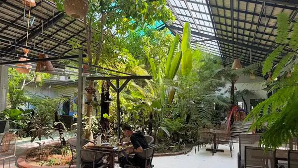 IMG_6449 (1).jpg IMG_6449 (1).jpg