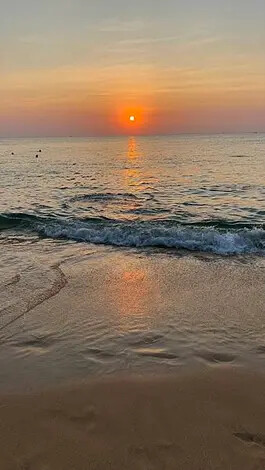 IMG_6242.jpg IMG_6242.jpg