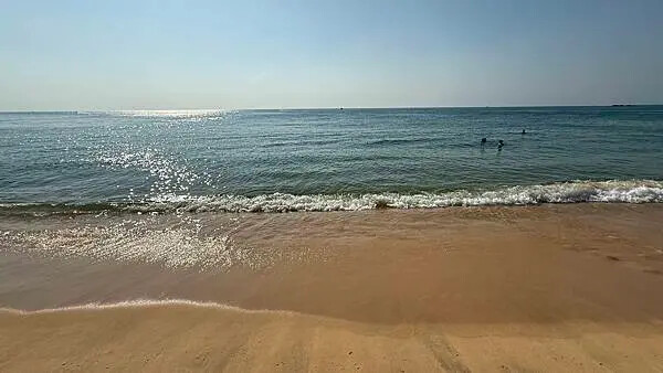 IMG_6541.jpg IMG_6541.jpg