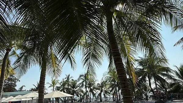 IMG_6460 (1).jpg IMG_6460 (1).jpg