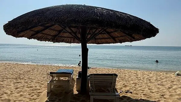 IMG_6501.jpg IMG_6501.jpg