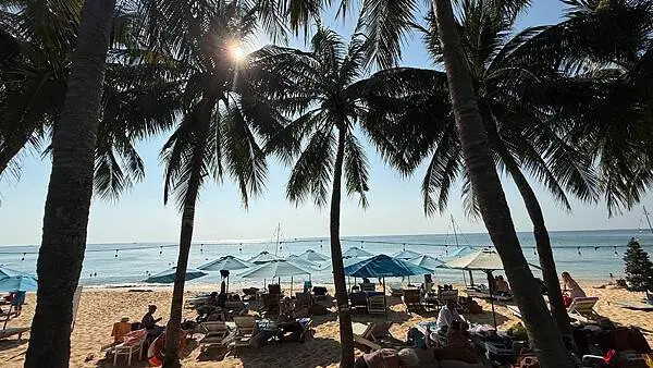 IMG_6473 (1).jpg IMG_6473 (1).jpg