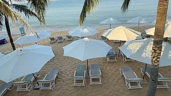 IMG_6382 (1).jpg IMG_6382 (1).jpg