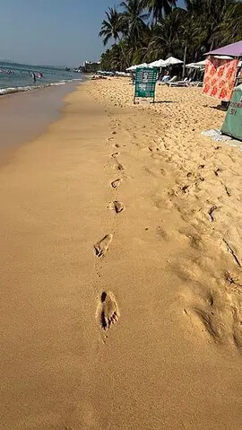 IMG_6544 (1).jpg IMG_6544 (1).jpg