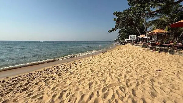 IMG_6539 (1).jpg IMG_6539 (1).jpg