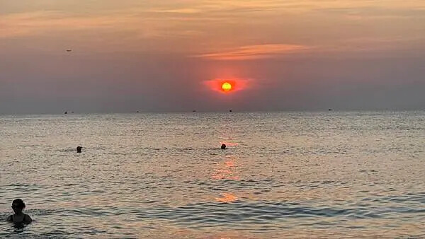 IMG_6260.jpg IMG_6260.jpg