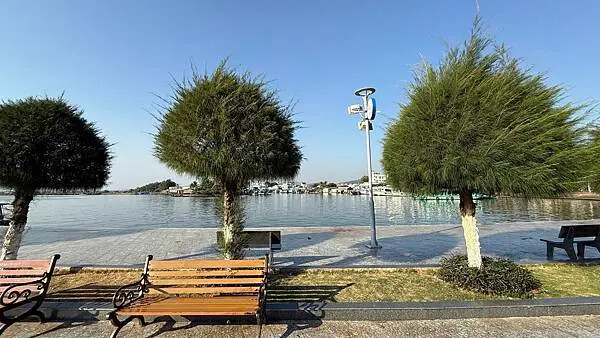 IMG_6559 (1).jpg IMG_6559 (1).jpg