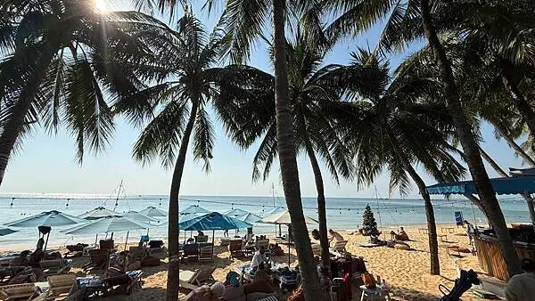 IMG_6472 (1).jpg IMG_6472 (1).jpg