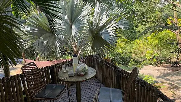 IMG_6447.jpg IMG_6447.jpg